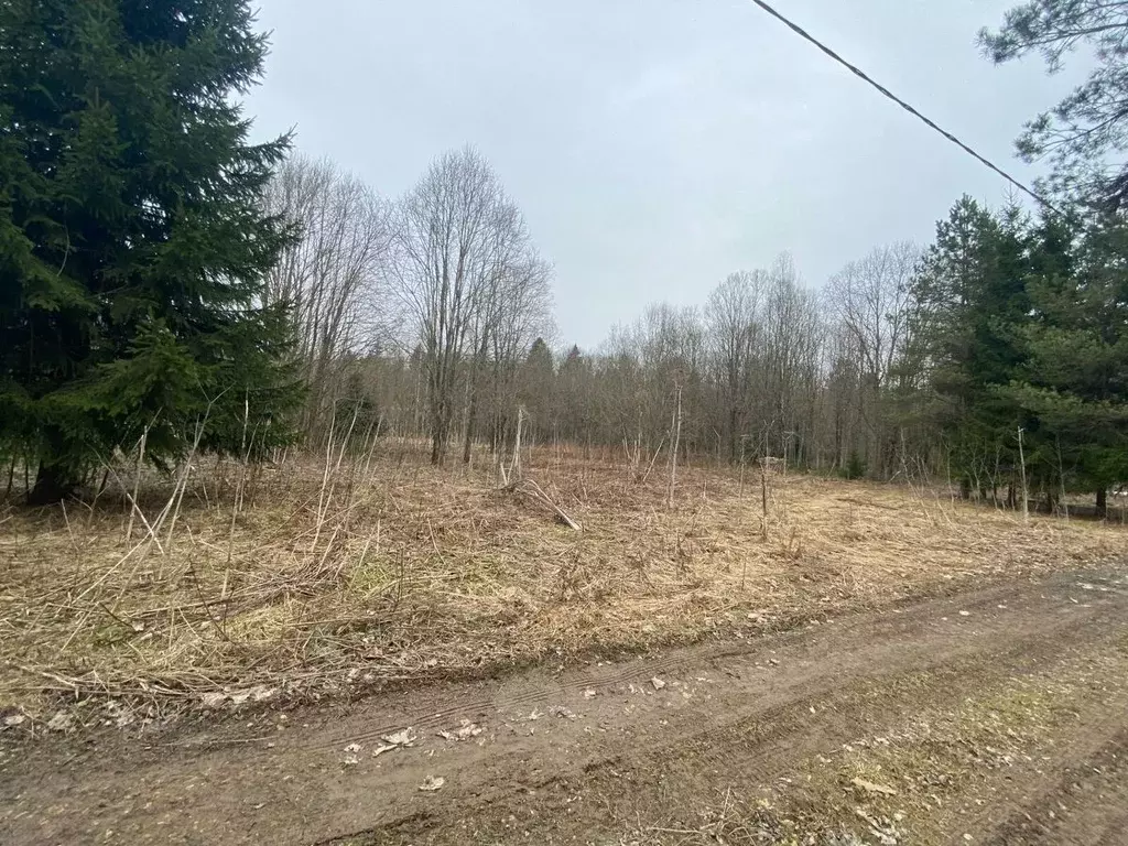 Участок в Ленинградская область, Волосовский район, Бегуницкое с/пос, ... - Фото 1
