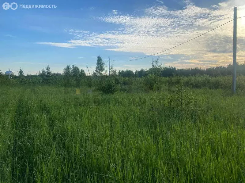 Участок в Тюменский муниципальный округ, село Перевалово (500 м) - Фото 0