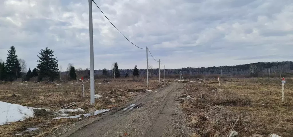 Участок в Томская область, Томский район, с. Коларово ул. Благодатная, ... - Фото 0