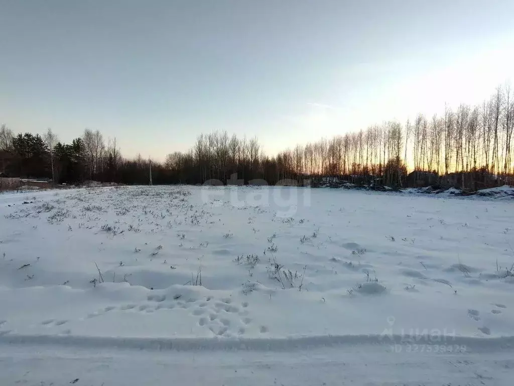 Участок в Ярославская область, Первомайский муниципальный округ, ... - Фото 2