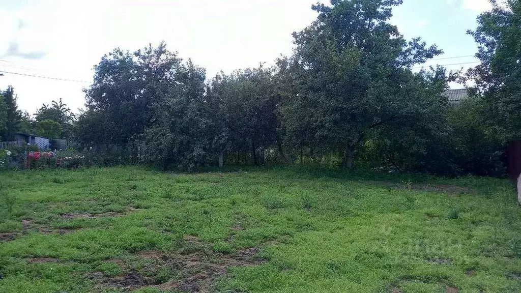 Участок в Брянская область, Брянский район, Снежское с/пос, пос. ... - Фото 2