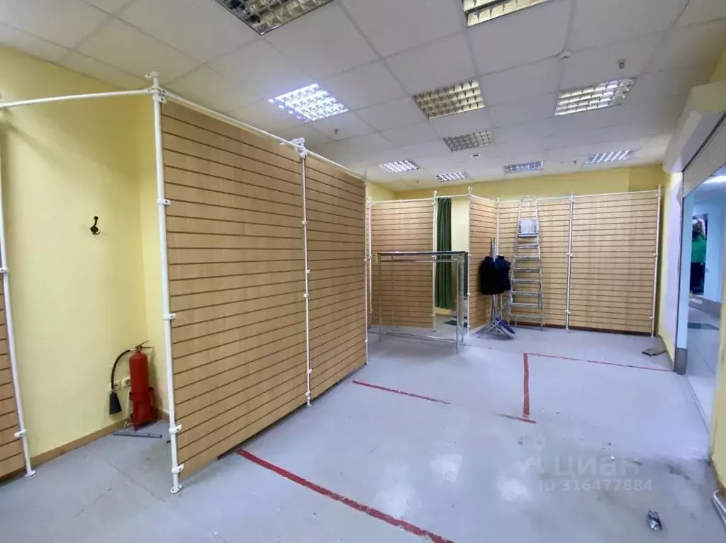 Торговая площадь в Самарская область, Самара ул. Фрунзе, 96 (57 м) - Фото 1