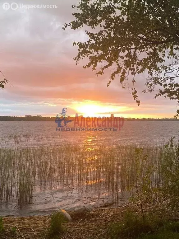 Участок в Выборгский район, Приморское городское поселение, посёлок ... - Фото 0