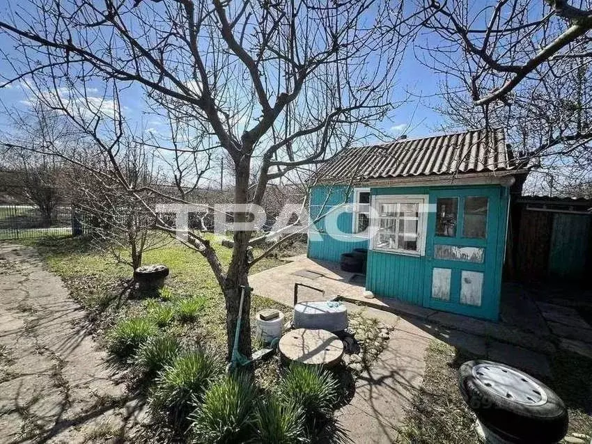 Дом в Воронежская область, Новоольшанское с/пос, пос. Нижнедевицк ул. ... - Фото 2