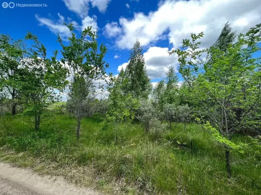 Участок в Красноармейский округ, деревня Фёдоровка (11.59 м) - Фото 1