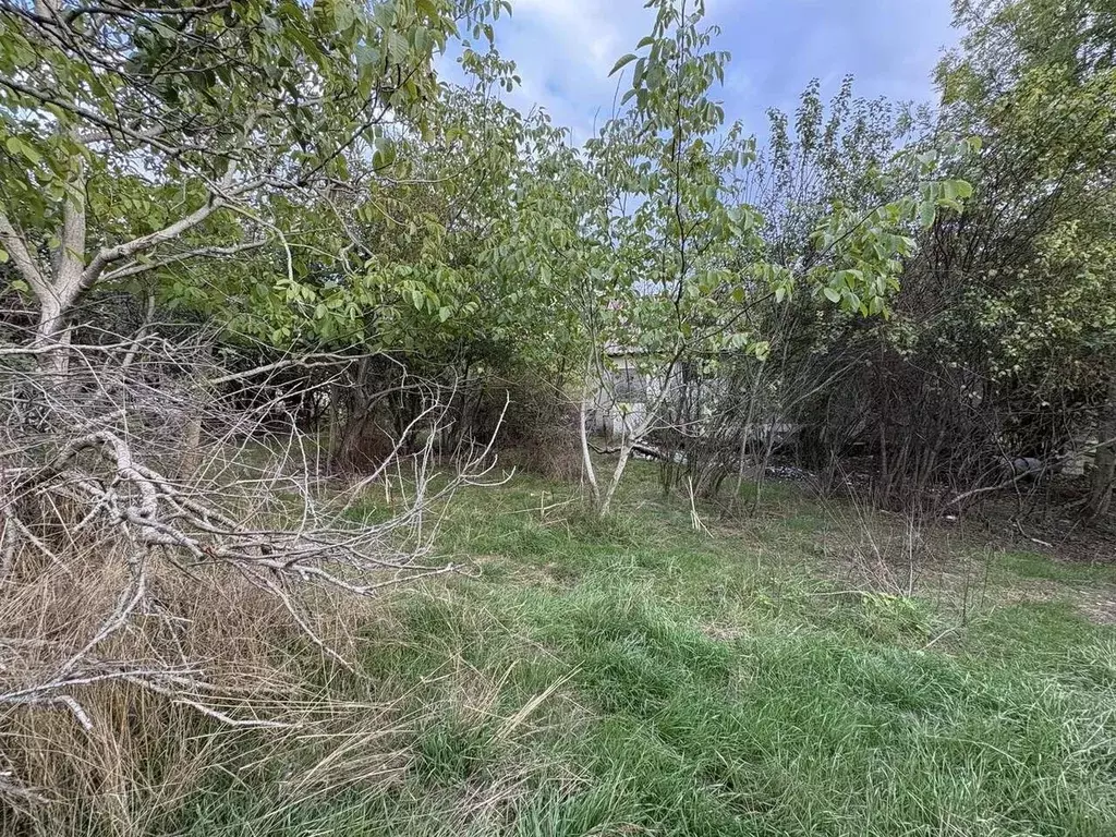 Участок в Севастополь с. Россошанка, ул. Жемчужная, 4 (5.0 сот.) - Фото 1