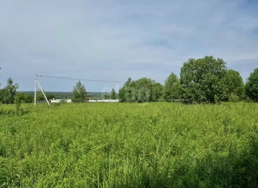 Участок в Тульская область, Тула городской округ, с. Алешня  (8.0 ... - Фото 1