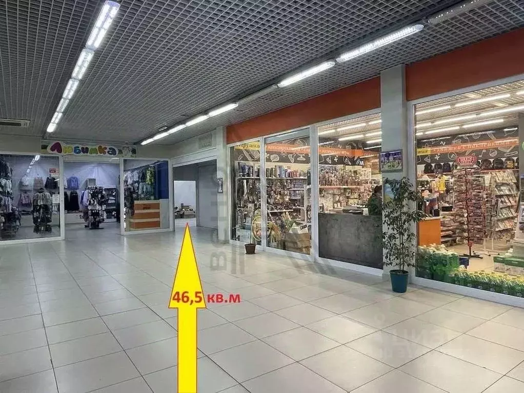 Помещение свободного назначения в Воронежская область, Воронеж ул. 9 ... - Фото 1