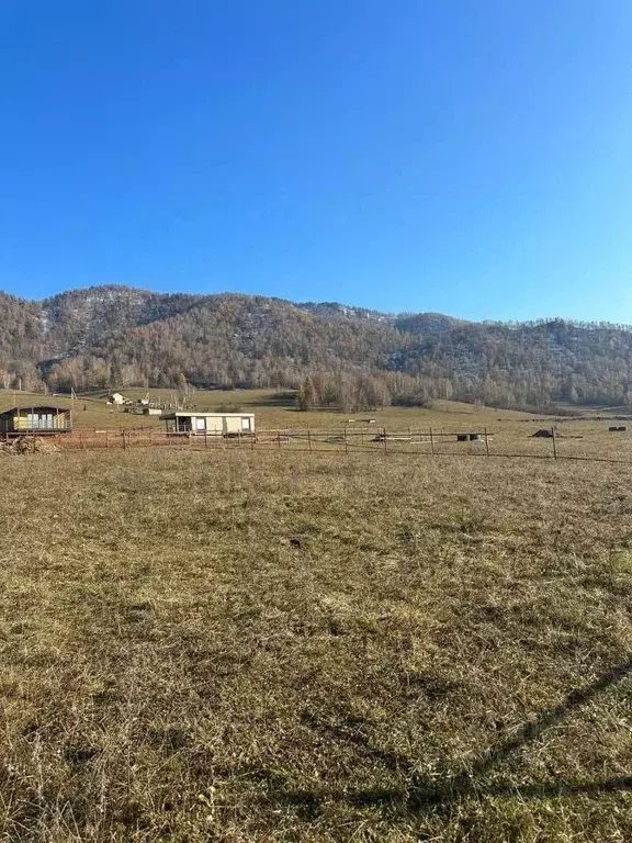 Участок в Алтай, Чемальский район, Элекмонарское с/пос, с. Элекмонар  ... - Фото 2