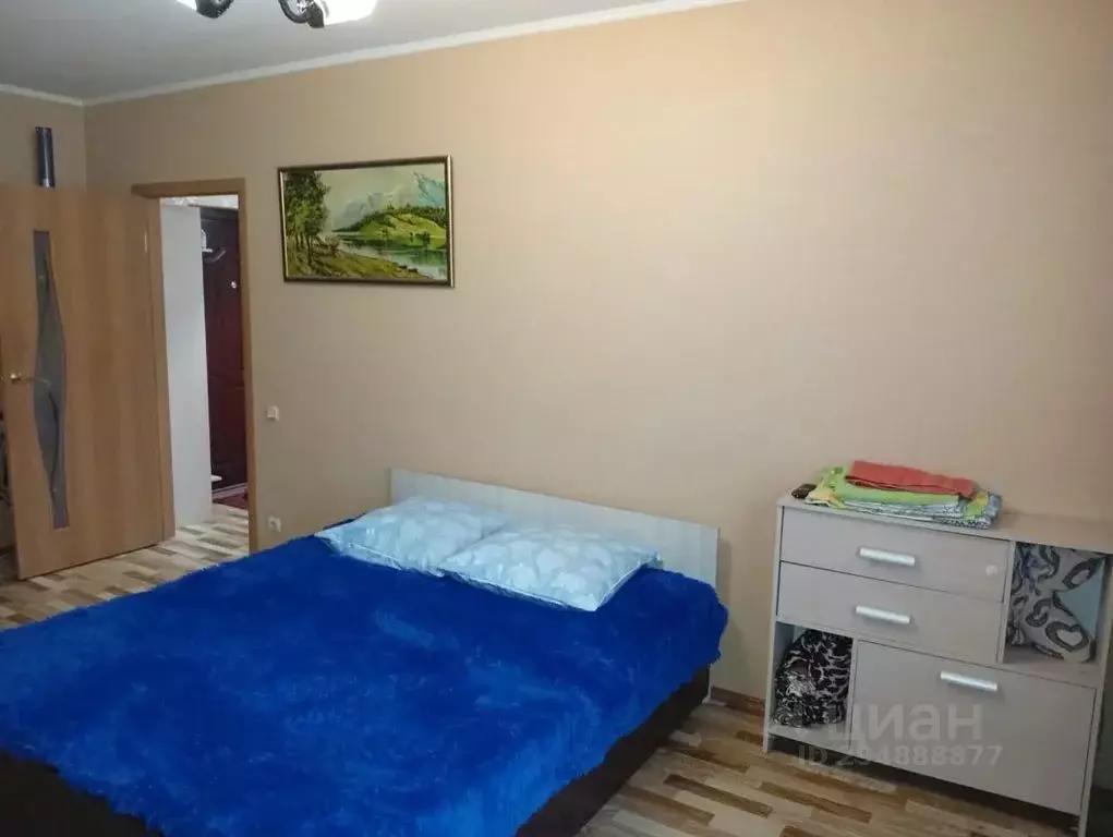 1-к кв. Саратовская область, Саратов ул. Имени С.Ф. Тархова, 27Б (39.0 ... - Фото 0