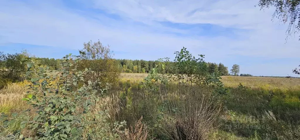 Участок в Московская область, Старая Купавна Богородский городской ... - Фото 0