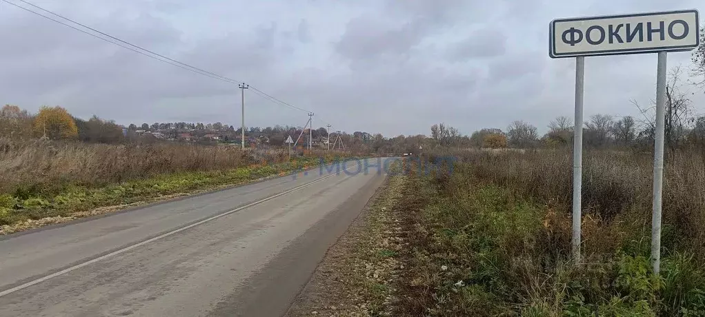 Участок в Нижегородская область, Воротынский муниципальный округ, с. ... - Фото 1