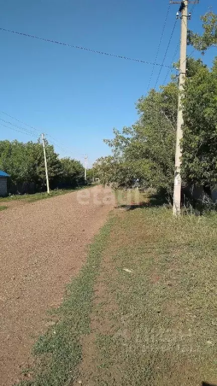 Участок в Оренбургская область, Тюльганский район, с. Владимировка ... - Фото 1