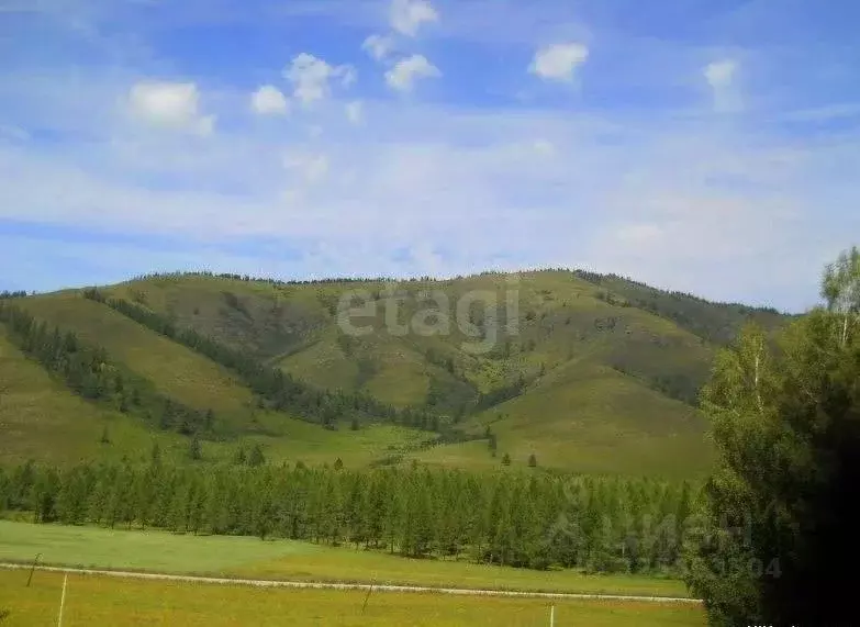 Участок в Алтай, Усть-Канский район, с. Усть-Кан Ленинская ул. (1350.0 ... - Фото 2