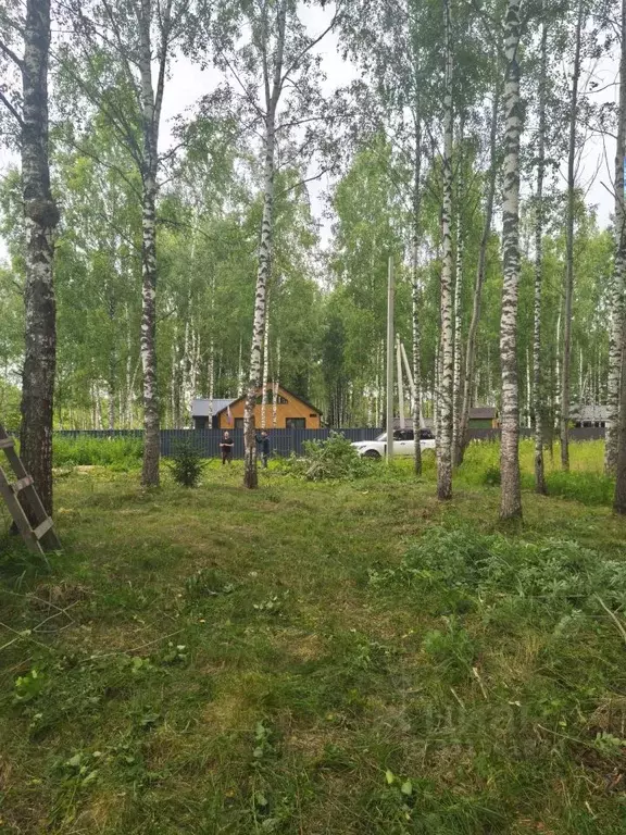 Участок в Московская область, Талдомский городской округ, д. Гусенки  ... - Фото 1