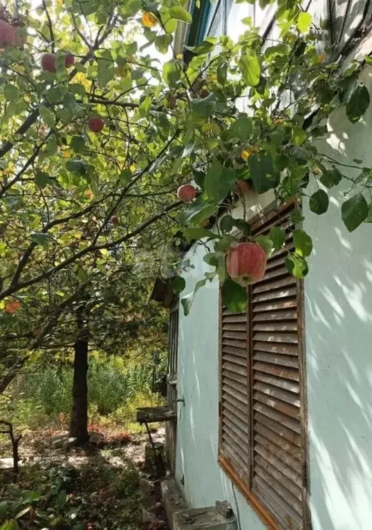Дом в Липецкая область, Липецк Металлург-3 СНТ, 5-я линия, 66 (38 м) - Фото 1