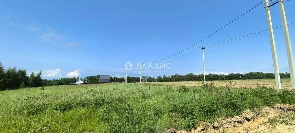 Участок в Ярославская область, Рыбинский муниципальный округ, д. ... - Фото 1