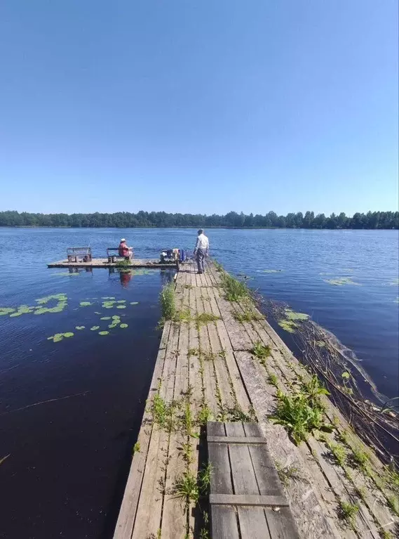 Дом в Ленинградская область, Волховский район, Вындиноостровское ... - Фото 1