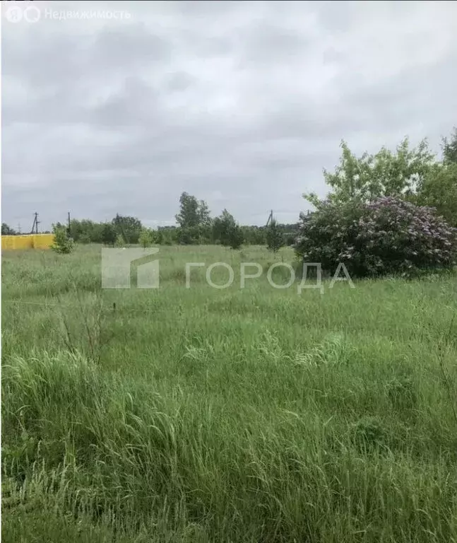 Участок в Санниково, СНТ Овощевод, Западная улица, 27 (6.2 м) - Фото 0