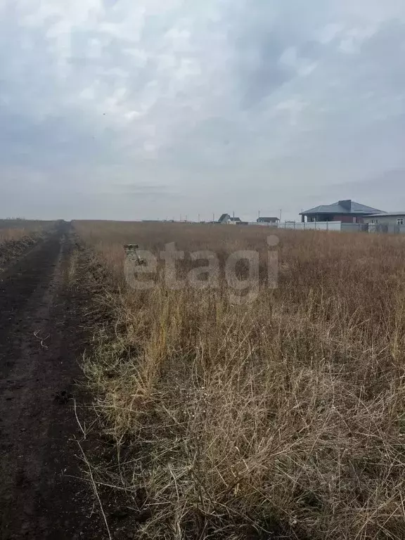 Участок в Ростовская область, Мясниковский район, Краснокрымское ... - Фото 0