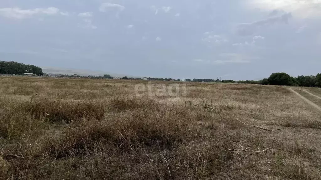 Участок в Карачаево-Черкесия, Прикубанский район, с. Знаменка  (15.0 ... - Фото 0