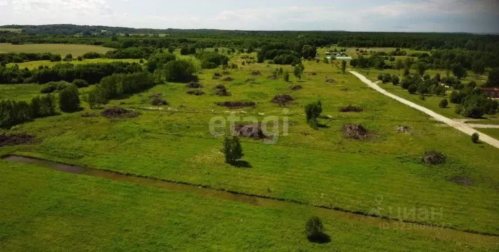 Участок в Калининградская область, Багратионовский муниципальный ... - Фото 1