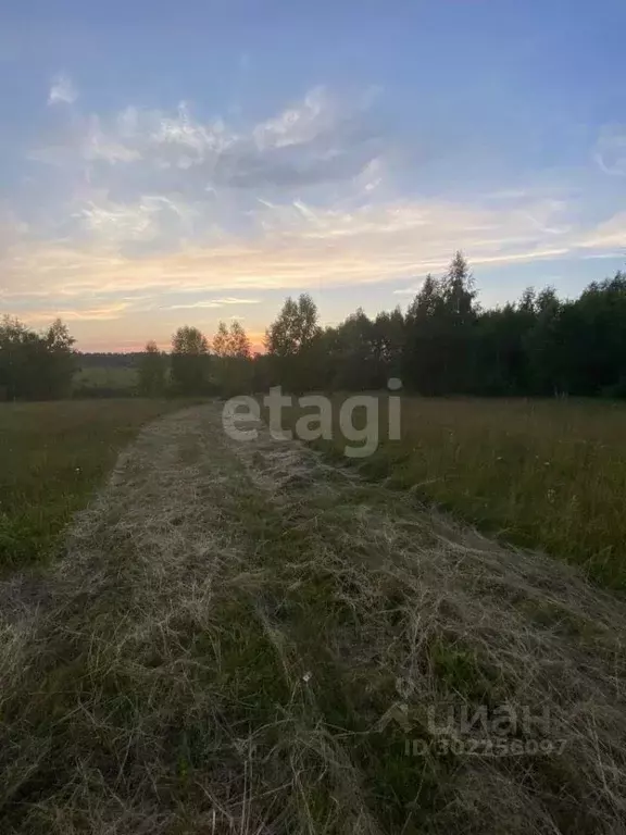 Участок в Тульская область, Дубенский район, Протасовское ... - Фото 1