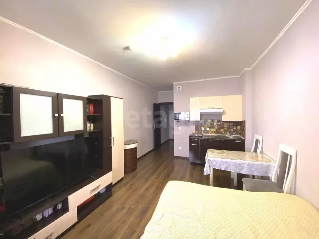 Студия Санкт-Петербург просп. Ветеранов, 171к5 (24.8 м) - Фото 1