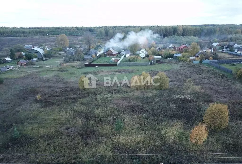 Участок в Владимирская область, Судогодский район, Андреевское ... - Фото 0