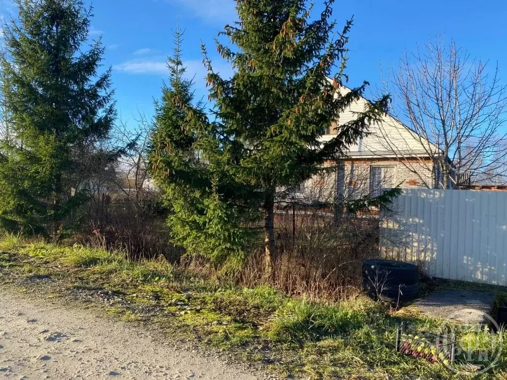 Участок в Ленинградская область, Ломоносовский район, д. Гостилицы ул. ... - Фото 1