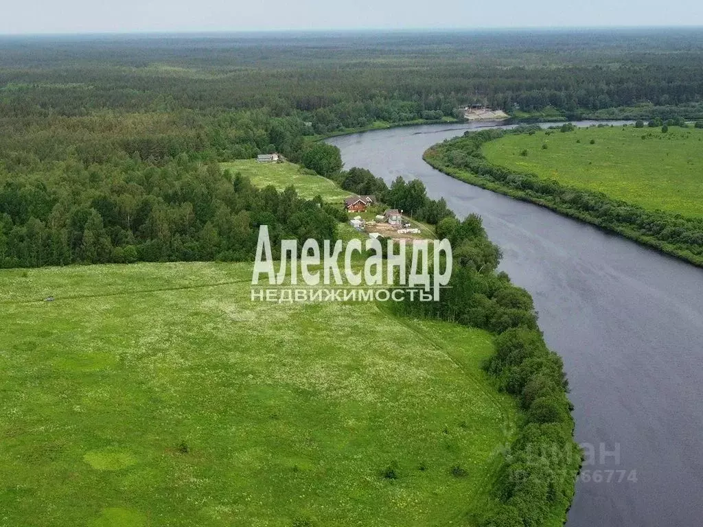 Участок в Ленинградская область, Волховский район, Пашское с/пос, д. ... - Фото 1