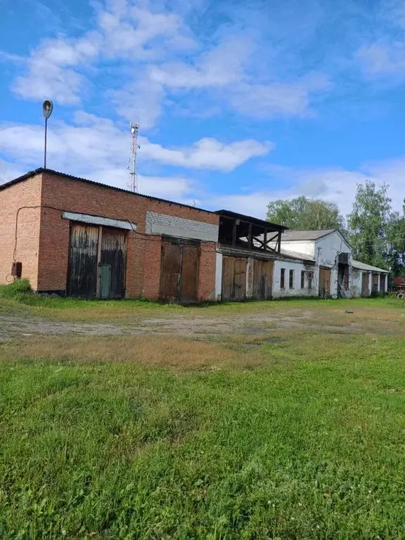 Помещение свободного назначения в Томская область, с. Кривошеино ул. ... - Фото 1