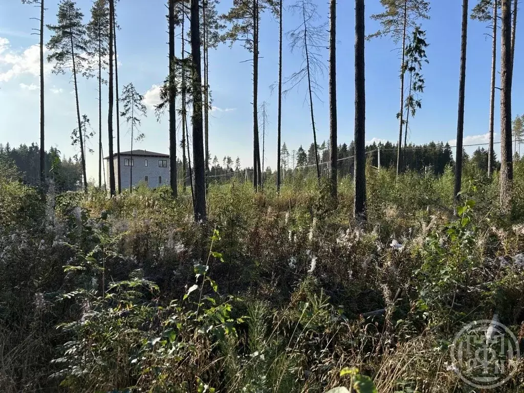 Участок в Ленинградская область, Всеволожский район, Сертоловское ... - Фото 0