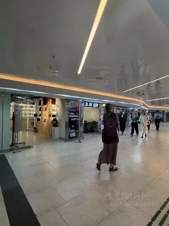 Помещение свободного назначения в Москва наб. Пресненская, 10с2 (49 м) - Фото 1