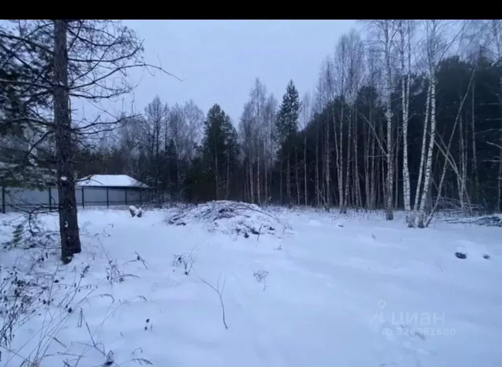 Участок в Нижегородская область, Арзамас городской округ, с. Морозовка ... - Фото 2