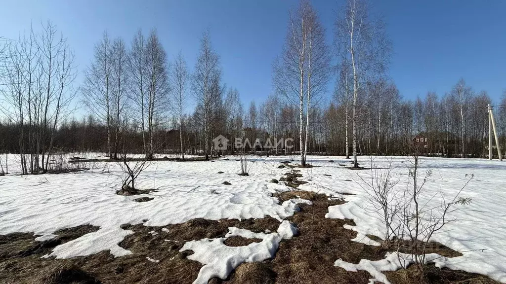 Участок в Московская область, Электросталь городской округ, д. Есино  ... - Фото 2