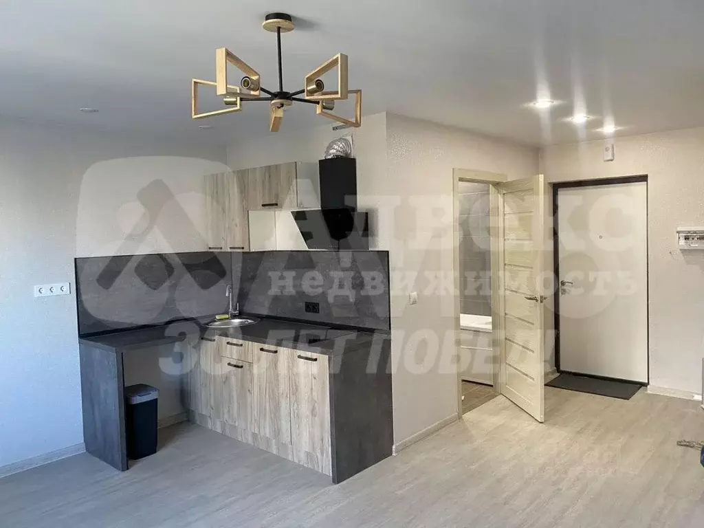 Студия Тюменская область, Тюмень ул. Новоселов, 113 (27.1 м) - Фото 1