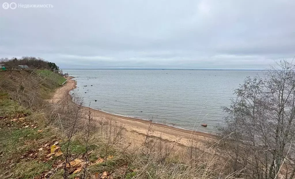 Участок в Ломоносовский район, Лебяженское городское поселение, ... - Фото 1