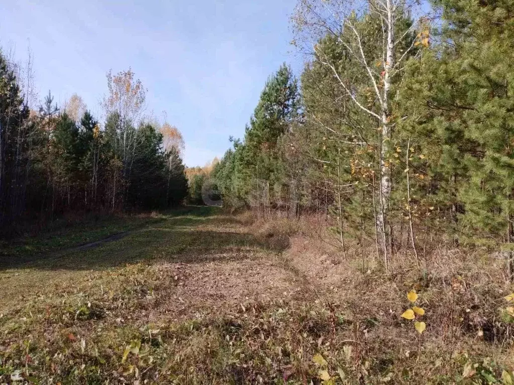 Участок в Тюменская область, Нижнетавдинский муниципальный округ, д. ... - Фото 1