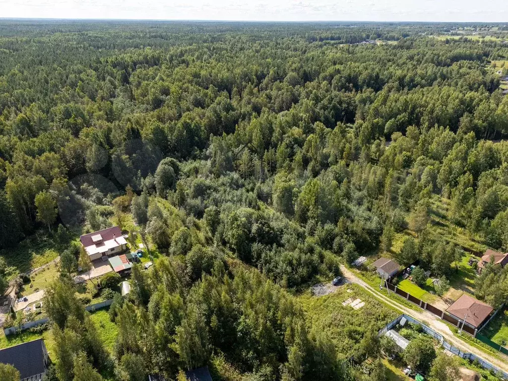 Участок 8 сот. (СНТ, ДНП) - Фото 1