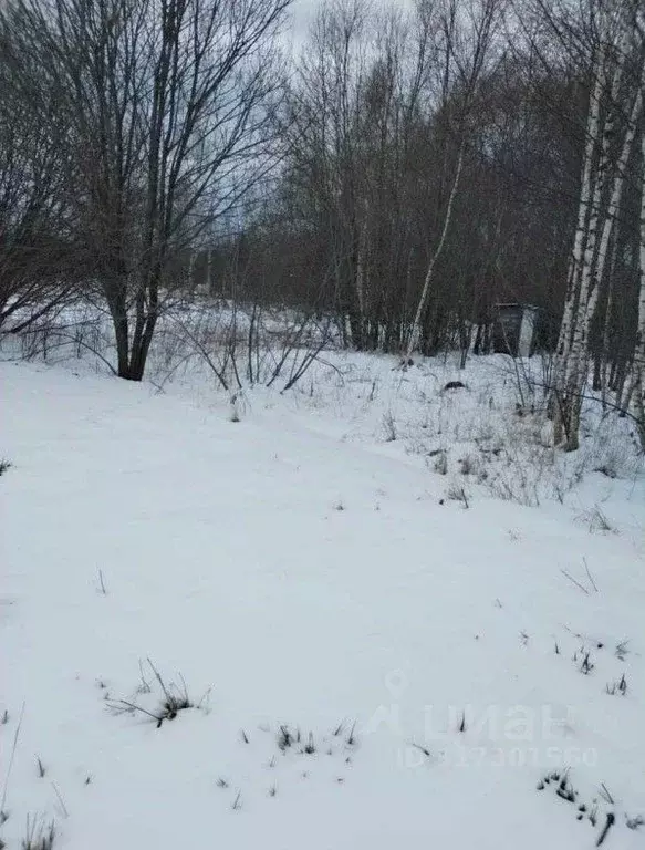 Участок в Московская область, Ступино городской округ, д. Бурцево ул. ... - Фото 1