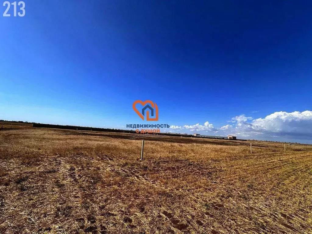 Участок в Крым, Сакский район, Молочненское с/пос ул. Заречная (6.0 ... - Фото 2