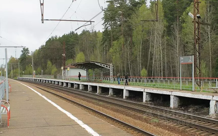 Участок в Московская область, Чехов городской округ, д. Красные Орлы  ... - Фото 1