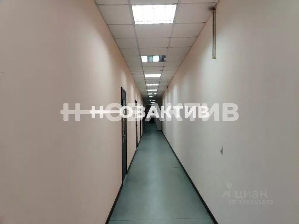 Помещение свободного назначения в Кемеровская область, Прокопьевск ул. ... - Фото 2