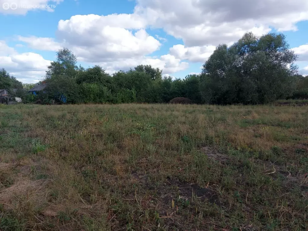 Участок в село Вязноватовка, улица Мира, 14 (33 м) - Фото 1