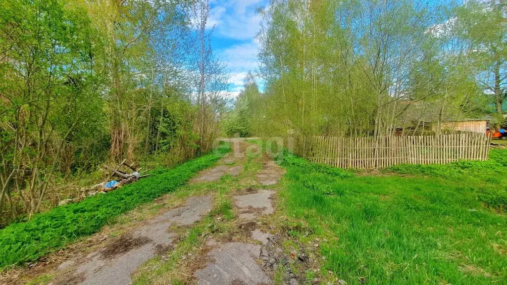 Дом в Псковская область, Островский район, Бережанская волость, д. ... - Фото 1