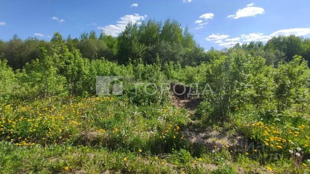 Участок в Московская область, Сергиево-Посадский городской округ, ... - Фото 0