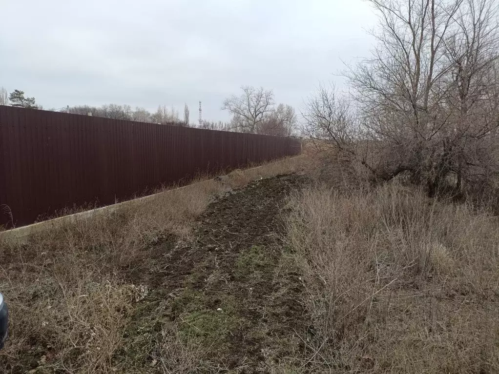 Участок в Волгоградская область, Среднеахтубинский район, Фрунзенское ... - Фото 1