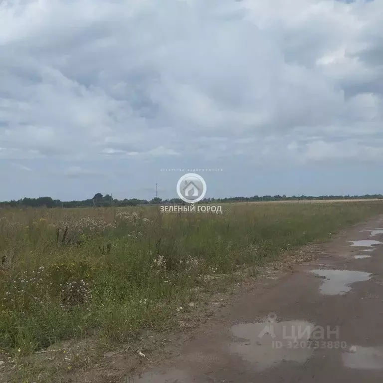 Участок в Калининградская область, Гурьевский муниципальный округ, ... - Фото 0