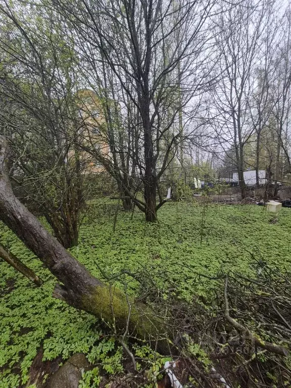 Участок в Санкт-Петербург Малая Десятинная ул., 9 (15.0 сот.) - Фото 1